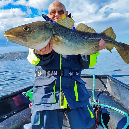 6 Person In Jarfjord Dom wakacyjny